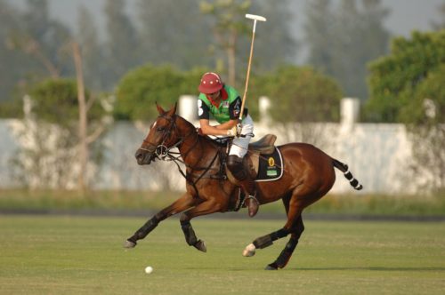 Polo Experience - Buenos Aires - Gay Tours Buenos Aires